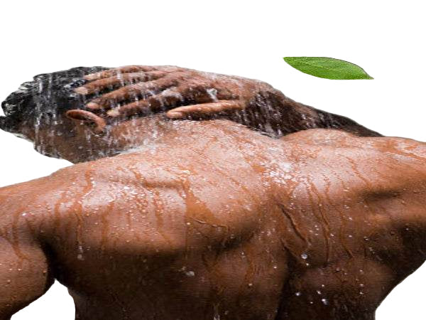 Organic Body Wash - 7 Organic Fragrances - For Men